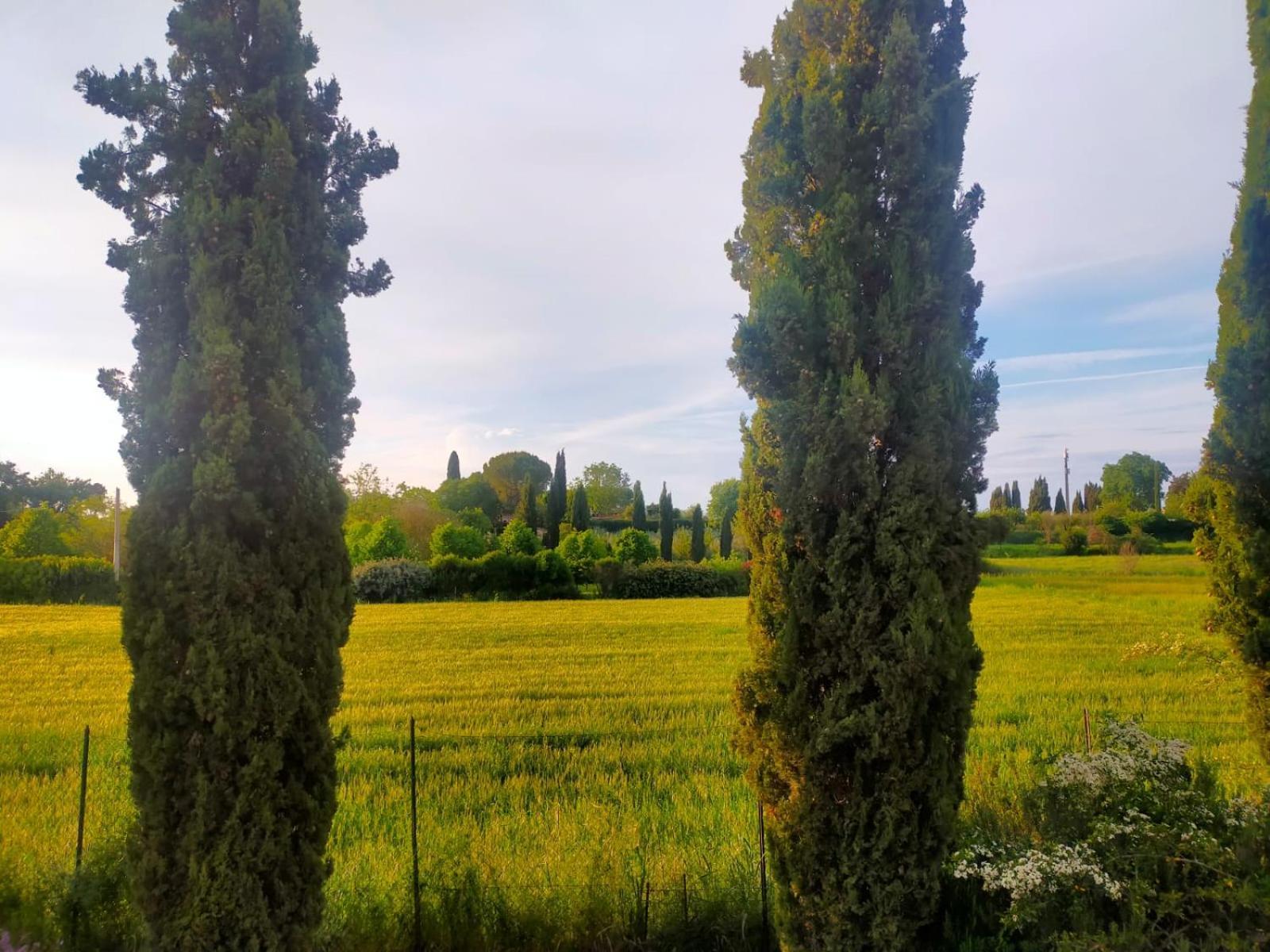 Villetta Con Parco Vicino San Gimignano Colle di Val d'Elsa Eksteriør billede